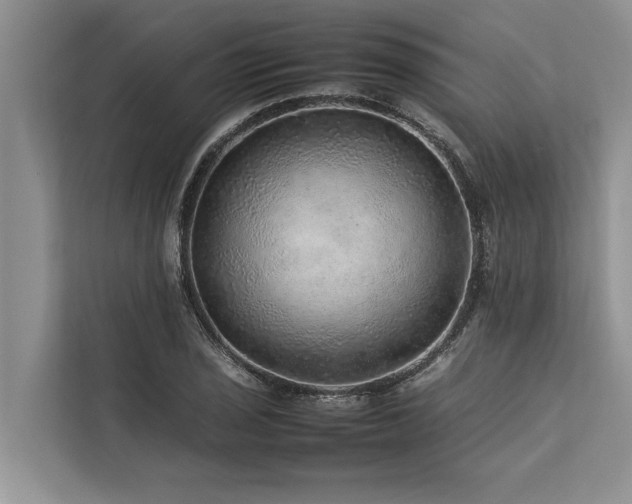 X0000113641029200909181452