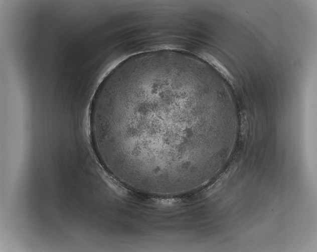 X0000113641031200909181452