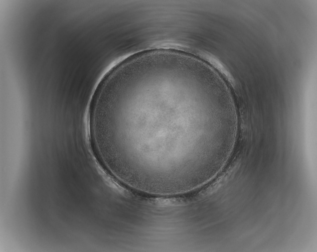 X0000113641032200909181452