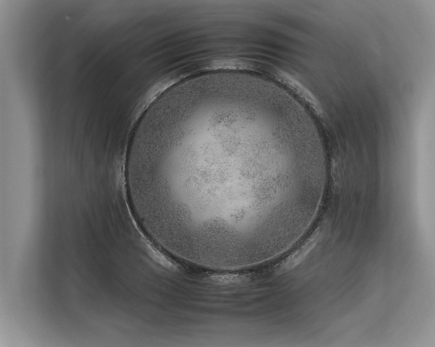 X0000113641033200909181452