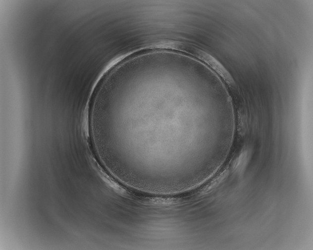 X0000113641036200909181452