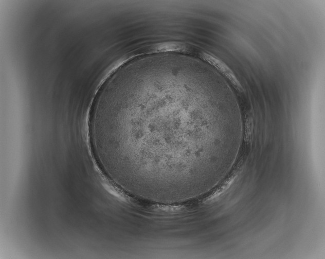 X0000113641039200909181452