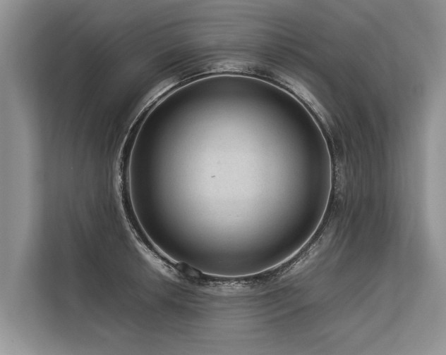 X0000113641042200909181452