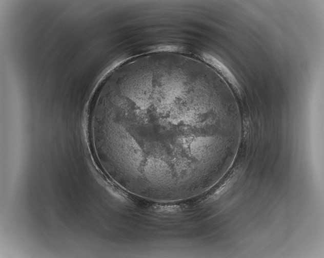 X0000113641043200909181452