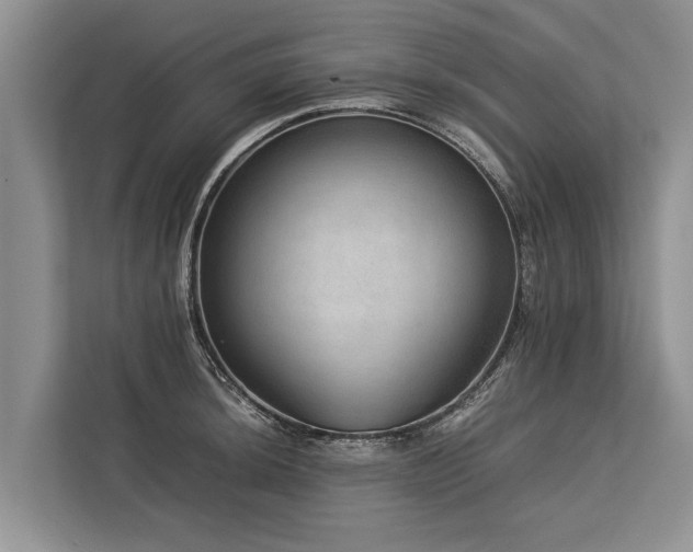 X0000113641044200909181452