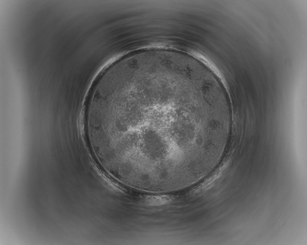 X0000113641045200909181452