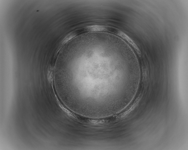 X0000113641049200909181453