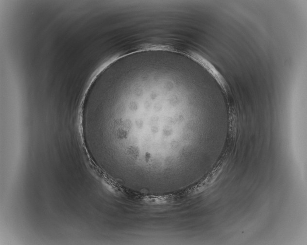 X0000113641051200909181453