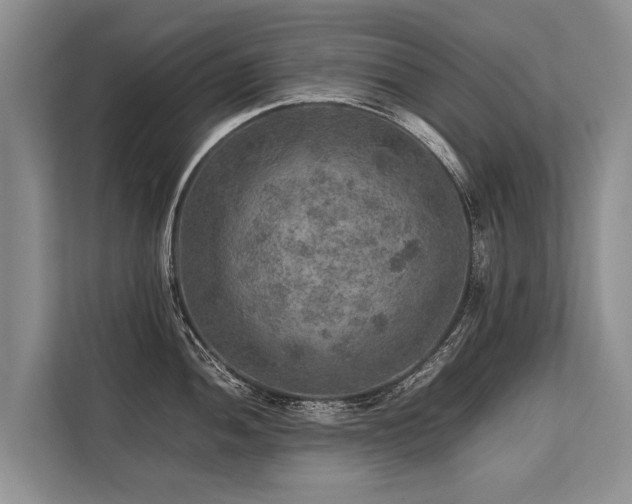 X0000113641052200909181453