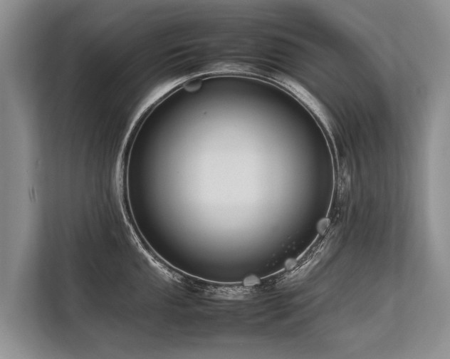 X0000113641053200909181453