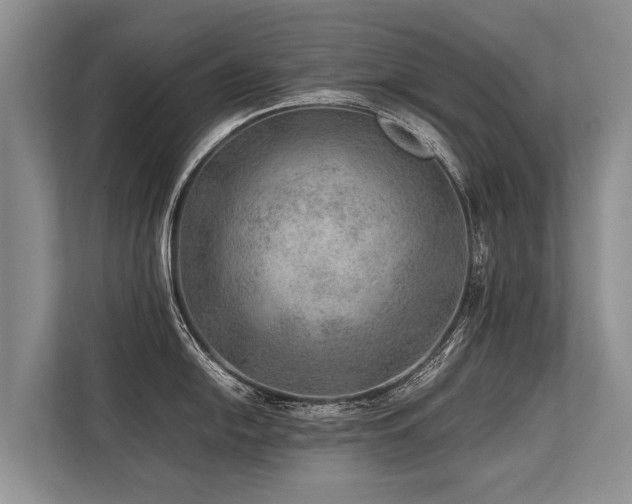 X0000113641054200909181453