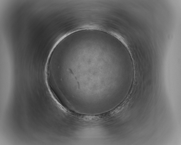 X0000113641056200909181453