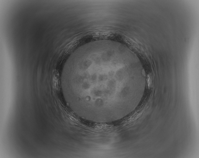 X0000113641059200909181452