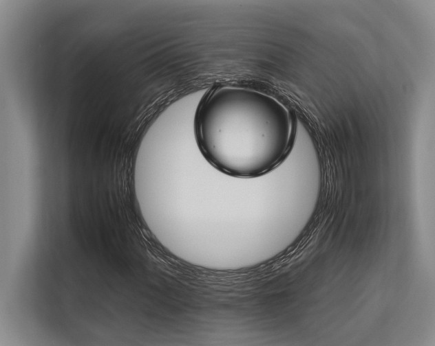 X0000113641060200909181452