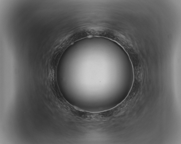 X0000113641061200909181452