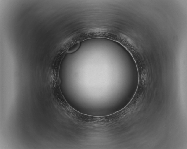 X0000113641062200909181452