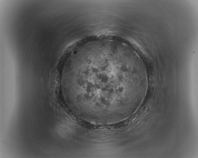 X0000113641063200909181452