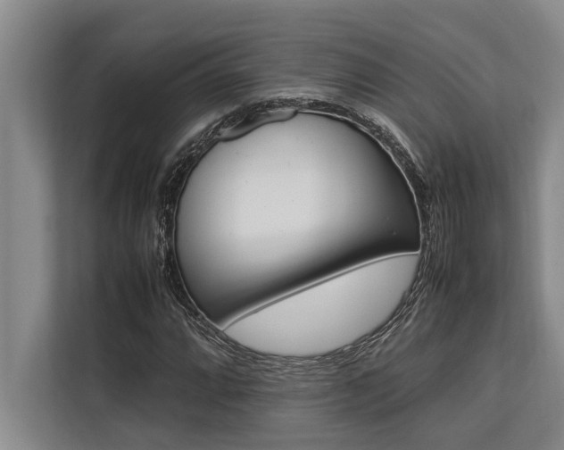 X0000113641064200909181452