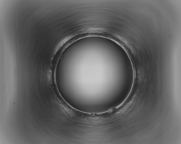 X0000113641066200909181452