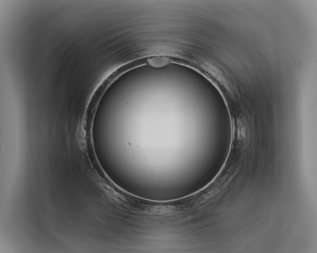 X0000113641068200909181452