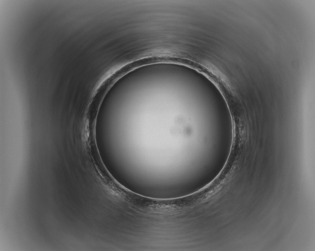 X0000113641070200909181452