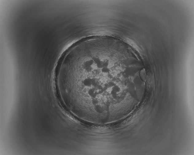 X0000113641071200909181452