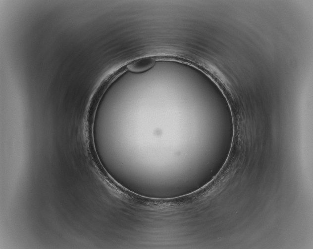 X0000113641072200909181452