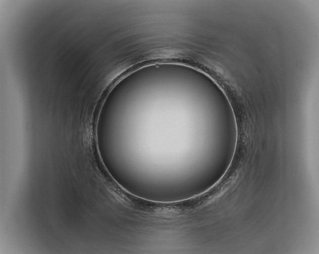 X0000113641073200909181452