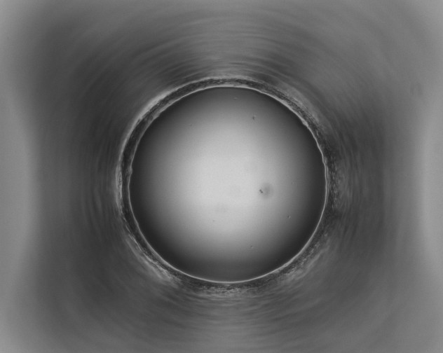 X0000113641076200909181452