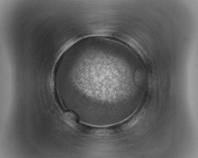 X0000113641077200909181452