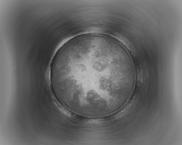 X0000113641078200909181452