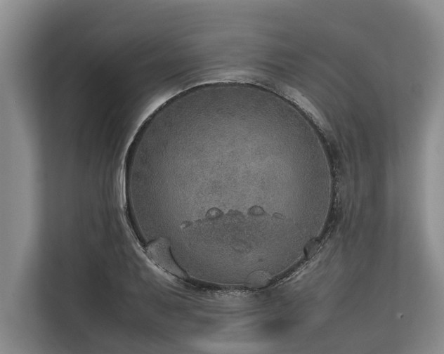 X0000113641079200909181452