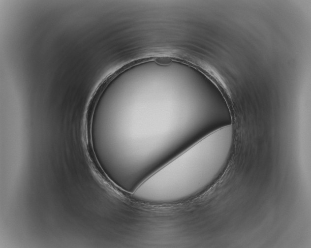 X0000113641080200909181452