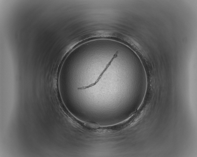 X0000113641081200909181452