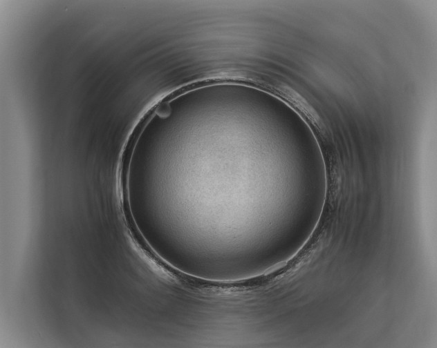 X0000113641084200909181452