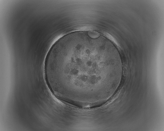 X0000113641087200909181452