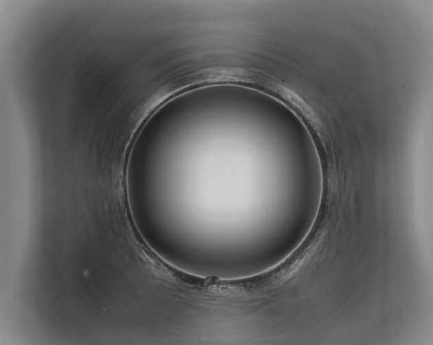 X0000113641089200909181452