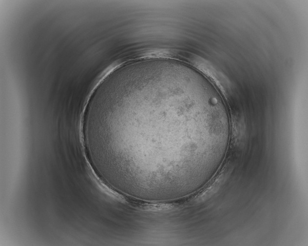 X0000113641090200909181452