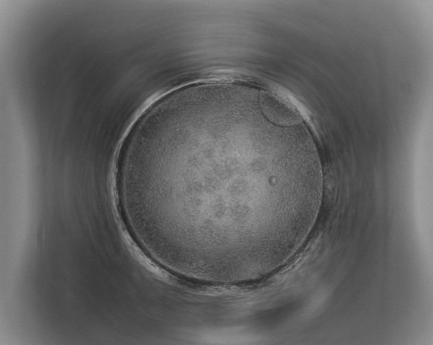 X0000113641091200909181452