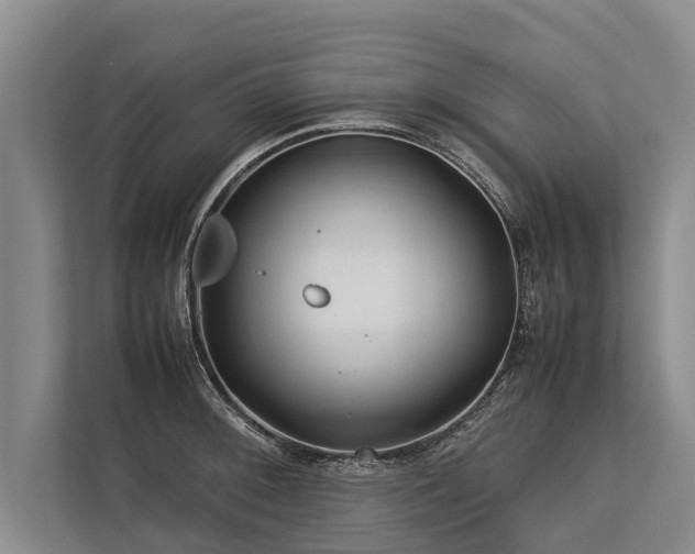 X0000113641092200909181452