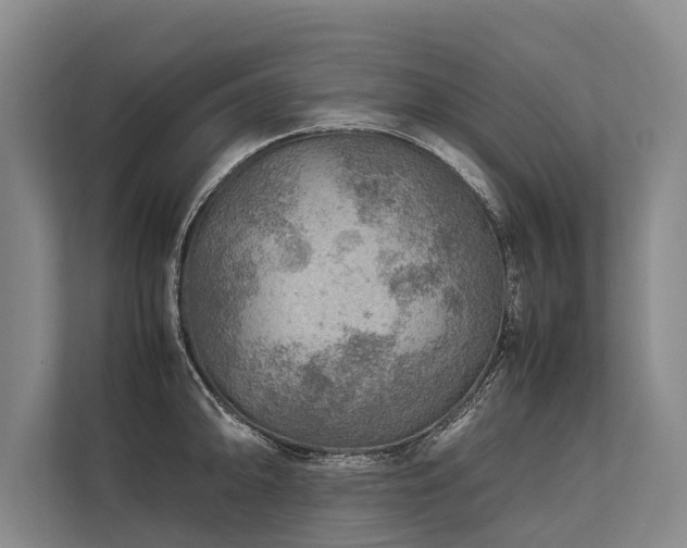 X0000113641094200909181452