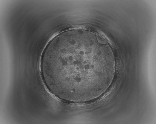 X0000113641095200909181452