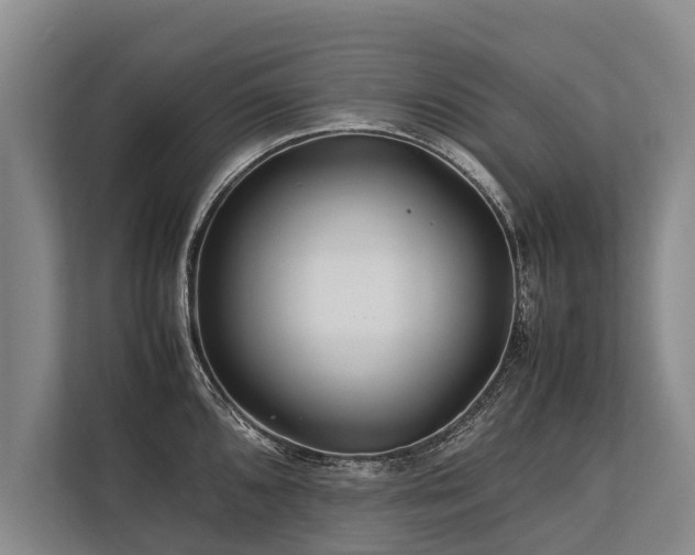 X0000113641096200909181452