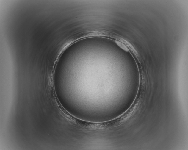 X0000113641097200909181451