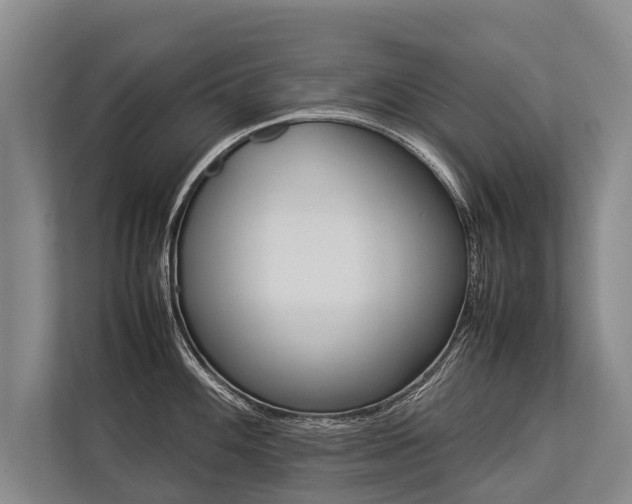 X0000113641100200909181451