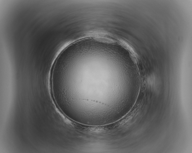 X0000113641103200909181451