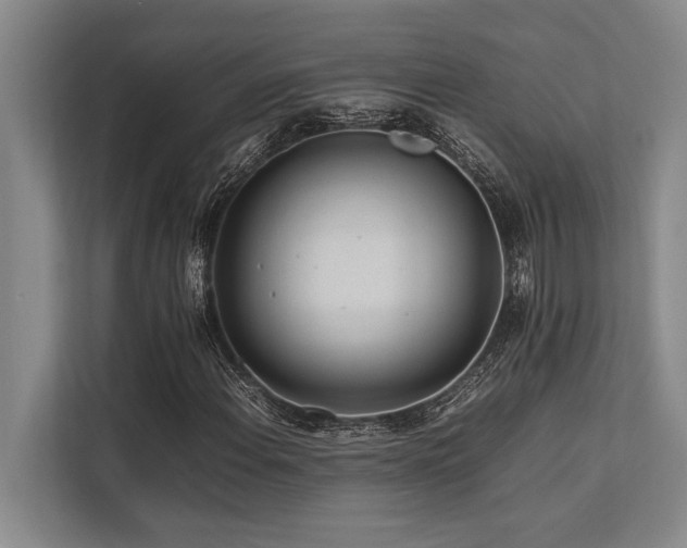 X0000113641108200909181451