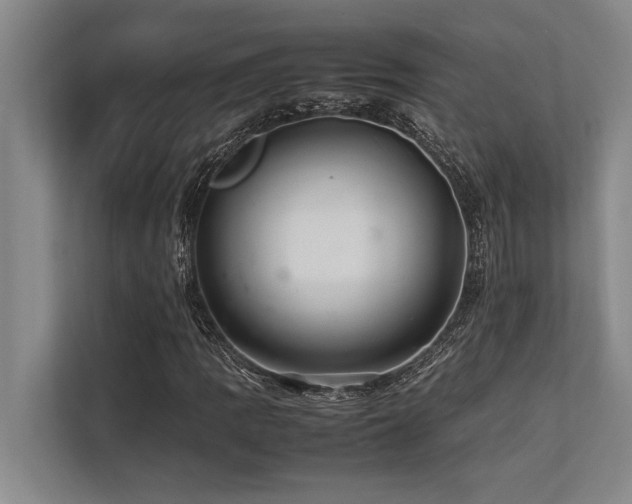 X0000113641109200909181451