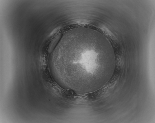 X0000113641110200909181451