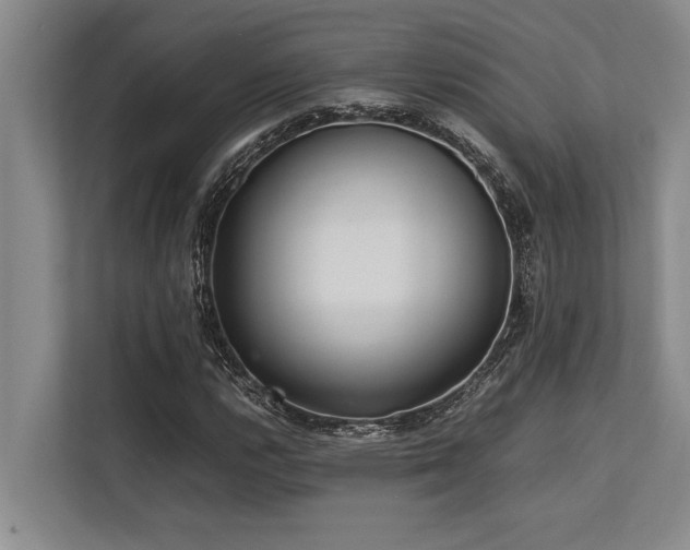 X0000113641112200909181451